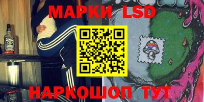 Альфа ПВП Ставрополь