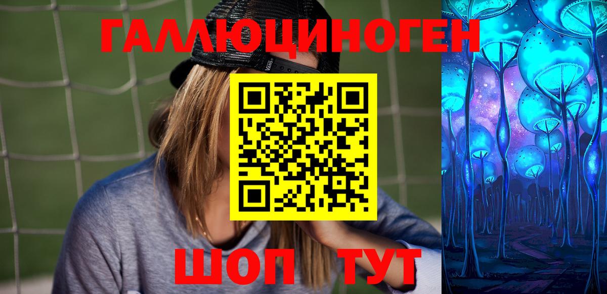 Ачхой-Мартан  Псилоцибиновые грибы мицелий  Вход с VPN 